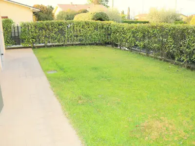 GardenSummer