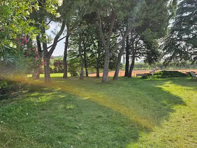 GardenSummer