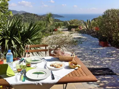 TerraceBalcony
