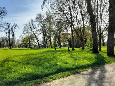 AreaSummer5KM