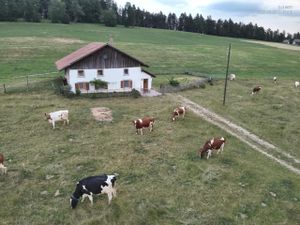 Ferienhaus für 4 Personen (70 m²) in Le Noirmont