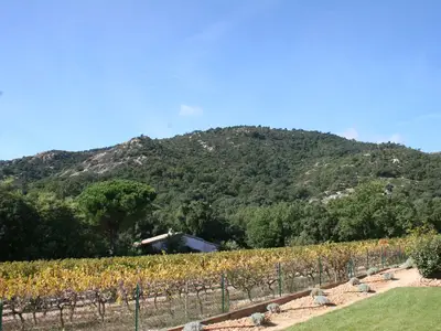 ViewSummer