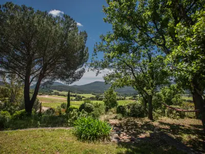 Aussicht vom Ferienhaus [Sommer]