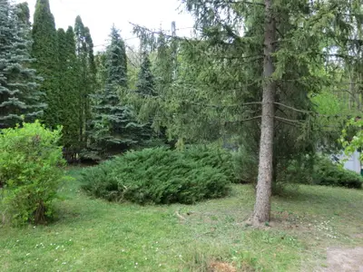 Ferienhaus für 5 Personen (70 m²) in Leányfalu 2/10