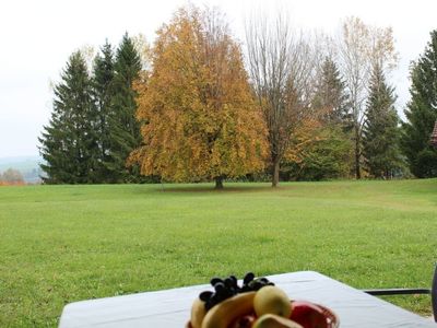 Ferienhaus für 5 Personen (67 m²) in Lechbruck am See 8/10