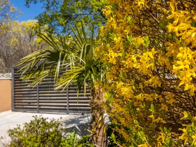 Ferienhaus für 7 Personen (130 m²) in Ledenice 8/10
