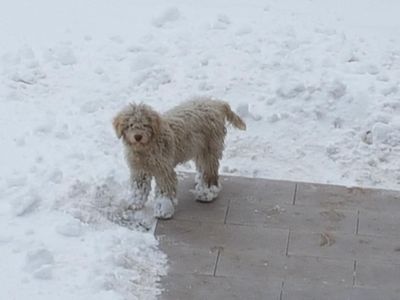 VILLA IAGRA: UNSERE MAGGIE  MIT ...WINTERKLEIDUNG