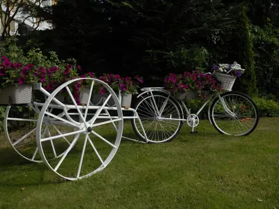 GardenSummer
