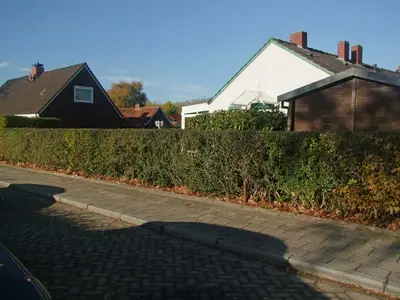 Ferienhaus für 2 Personen (50 m²) in Leer 8/10