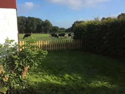 Ferienhaus für 6 Personen (110 m²) in Leer 3/10