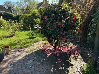 Ferienhaus für 5 Personen (120 m²) in Leer 4/10