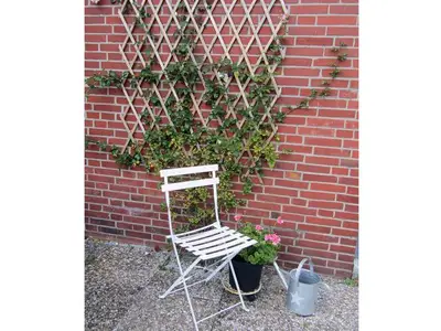 Ferienhaus für 4 Personen (120 m²) in Leer 8/10