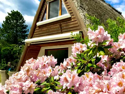 Ferienhaus für 4 Personen (45 m²) in Lenzen (Elbe) 4/10