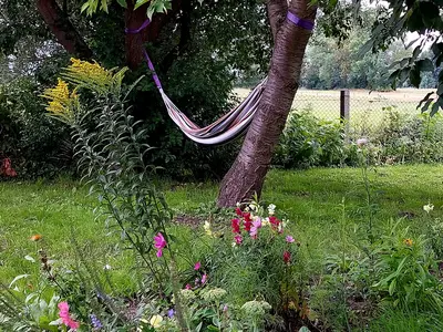 Ferienhaus für 2 Personen (25 m²) in Lenzen (Elbe) 9/9