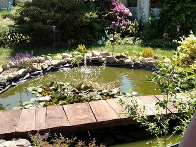 Ferienhaus für 2 Personen (55 m²) in Lenzen (Elbe) 3/10