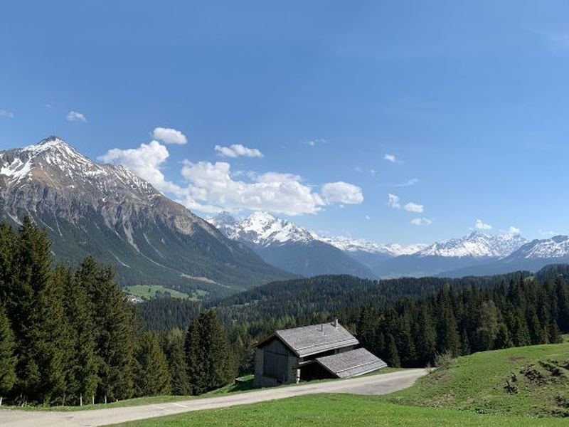 23953688-Ferienhaus-10-Lenzerheide/Lai-800x600-0