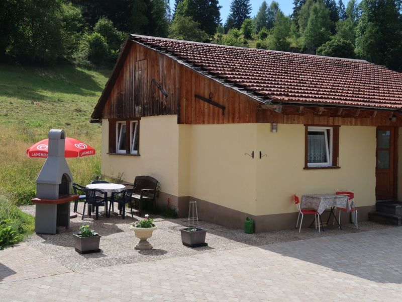 23840312-Ferienhaus-5-Lenzkirch-800x600-0