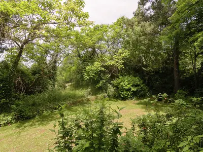 ViewSummer