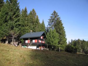 Ansicht Ferien-Alp-Chalet Sommer