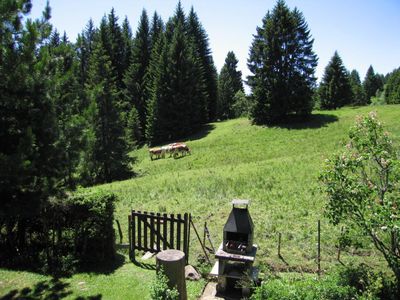 Sicht vom Balkon auf die Alpweide