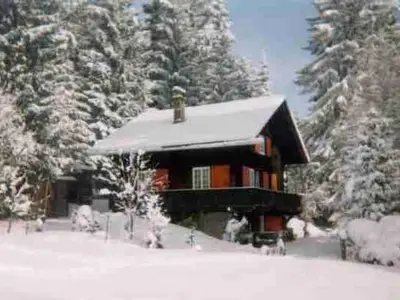 Chalet von nah, Winter