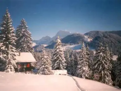 Aussenansicht Chalet Winter