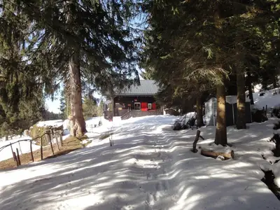 Eingang ins Grundstück März