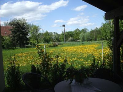 Frühlingsausblick von der Terrasse