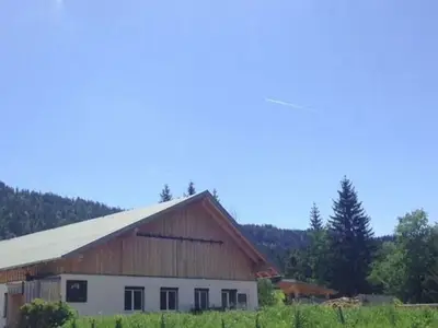 Ferienhaus für 4 Personen (55 m²) in Leutasch 6/10