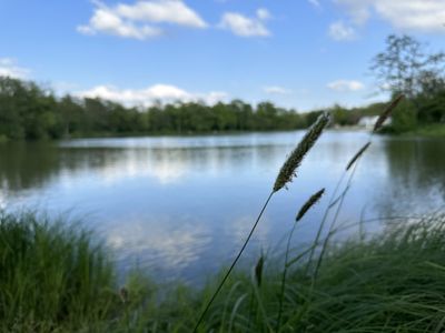 Erholung am Frankenwaldsee - Lichtenberg - Frankenwald - Bayern