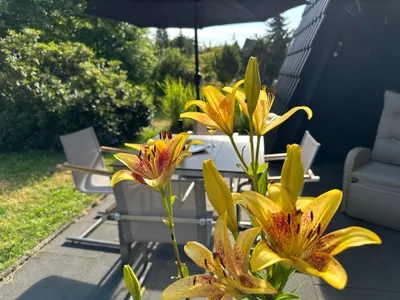 Ferienhaus für 4 Personen (80 m²) in Lichtenberg (Oberfranken) 7/10