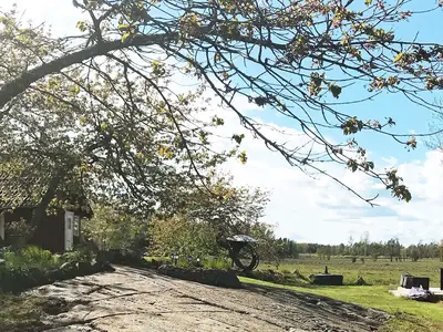 Outdoor
