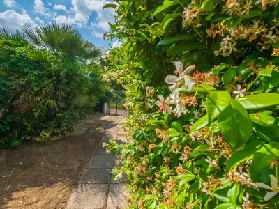 Garten. Der Garten