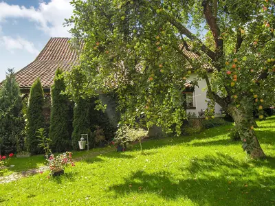 outside