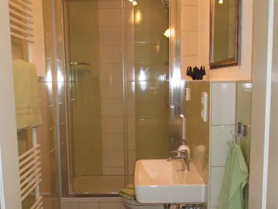 Ferienhaus für 4 Personen (140 m²) in Liebenstein 8/10