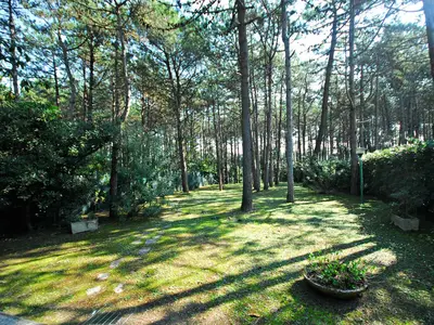 Garten. Garten