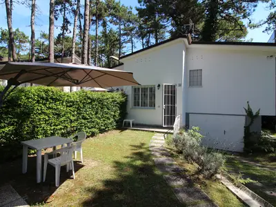Garten. Eingezäunten Garten