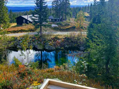 view-from-room