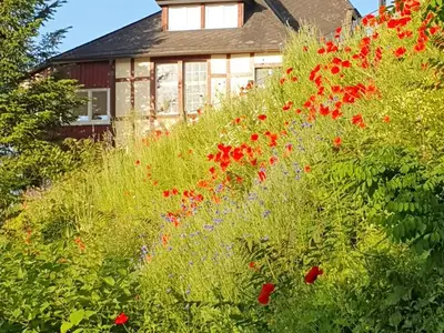 Ferienhaus für 6 Personen (160 m²) in Lindenfels 8/10 Ferienhaus für 6 Personen (160 m²) in Lindenfels 8/10