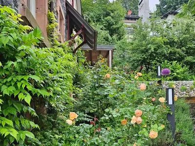 Ferienhaus für 6 Personen (160 m²) in Lindenfels 9/10