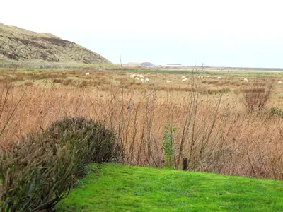 Gartenblick