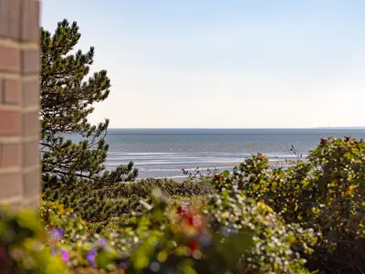 Ferienhaus für 4 Personen (85 m²) in List 7/10