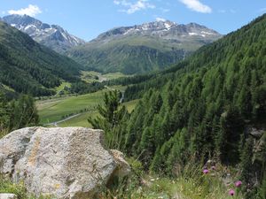 22000393-Ferienhaus-4-Livigno-300x225-3