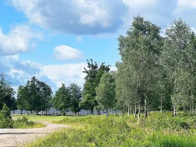 Outdoor