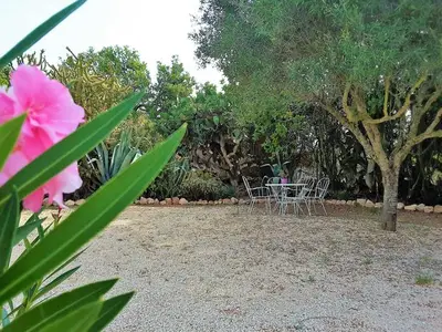 Ferienhaus für 5 Personen (84 m²) in Llucmajor 9/10