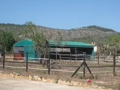 Ferienhaus für 8 Personen (150 m²) in Llucmajor 3/4