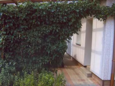 outside