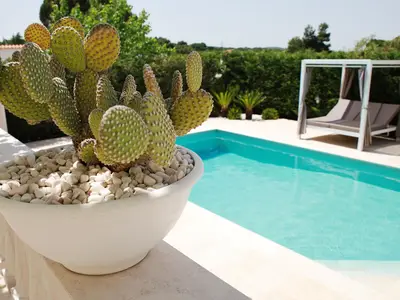 PoolOfHouse