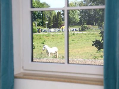 Ferienhaus für 4 Personen (81 m²) in Lohme (Rügen) 8/10