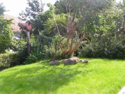 Ferienhaus für 4 Personen (65 m²) in Lohme (Rügen) 4/8